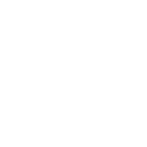 Vayu Logo White