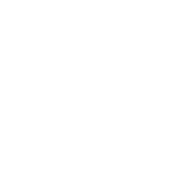 Vayu Logo White